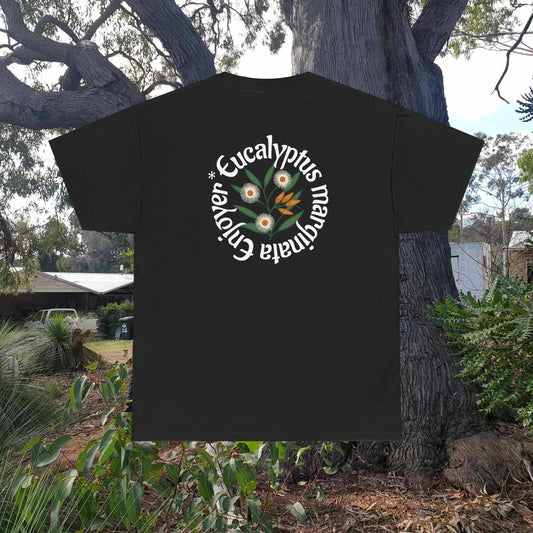 Jarrah Enjoyers