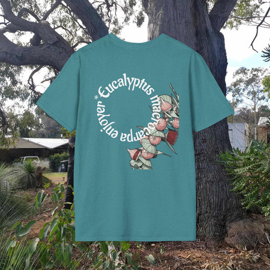 macrocarpa masters deluxe