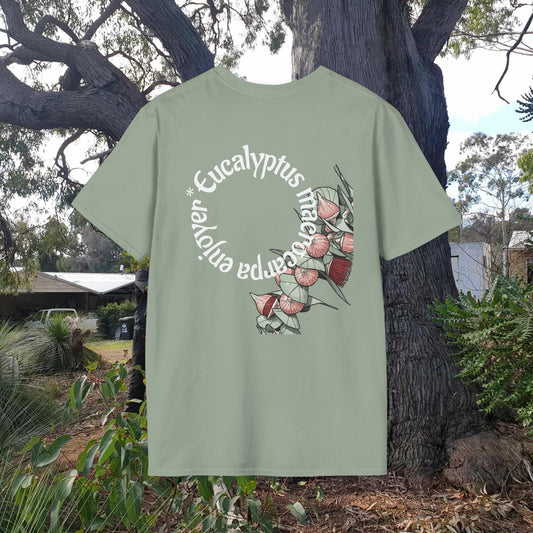 macrocarpa masters deluxe